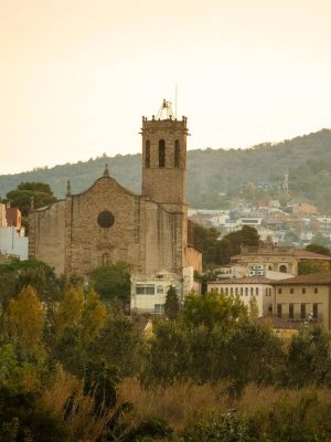 Vender camión en Sant Boi de Llobregat