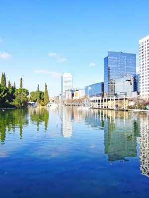 vender camión en sabadell